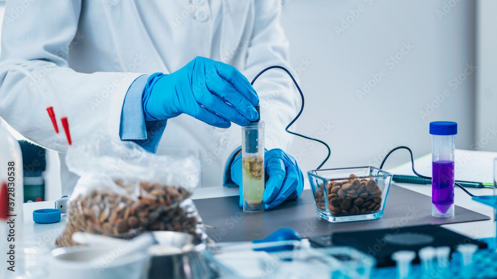 Scientist Measuring PH of Dissolved Pet Food in Sample Tube with PH Meter Scientist Measuring PH of Dissolved Pet Food in Sample Tube with PH Meter