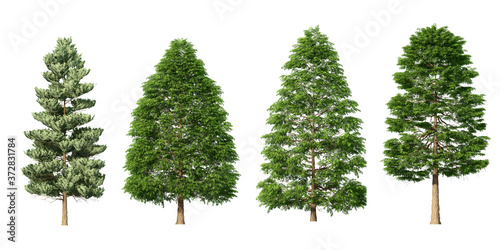Set of 3D green christmas tree isolated on white background