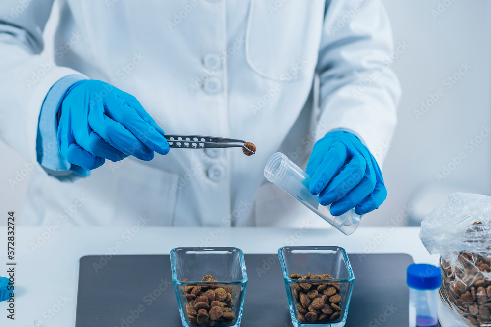 Fototapeta premium Pet Food Quality Control. Sample Preparation of Dry Dog Food for Testing in Laboratory