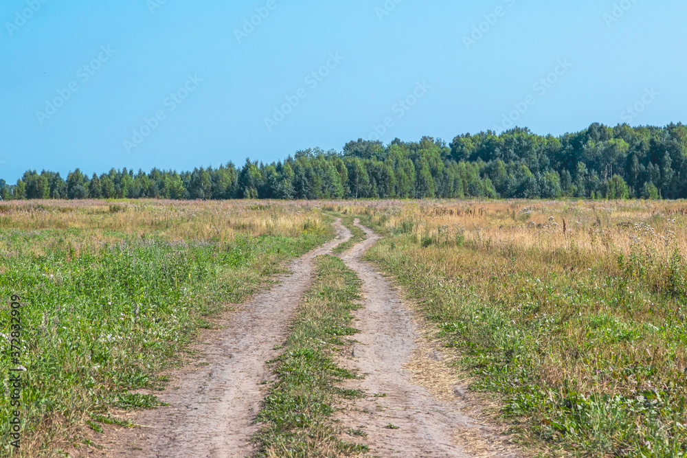 Country road among green fields. The road leads to a beautiful forest.