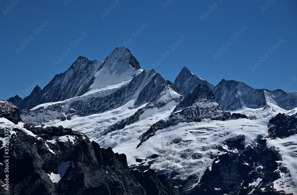 Gipfel der Berner Alpen von Schreckhorn, Lauteraarhorn und Finsteraarhorn