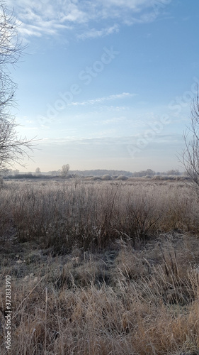 Frosty winter morning. Nature. Country landscape. Cold winter morning