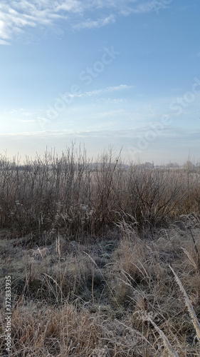 Frosty winter morning. Nature. Country landscape. Cold winter morning