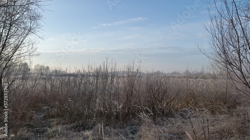 Frosty winter morning. Nature. Country landscape. Cold winter morning © DRUIDSS