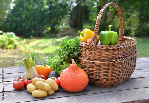 various and colorful vegetables put on a table next to a basket