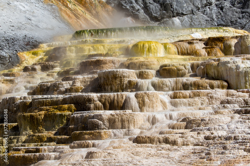 Mammoth Hot Springs, Yellowstone National Park