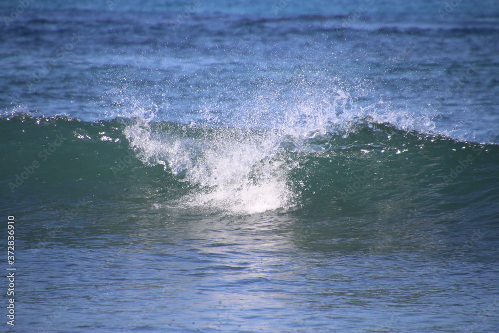 Obraz premium 薄磯海岸（福島県・いわき市）