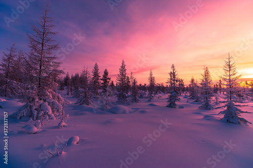 Winter lanscape with sunset, trees and cliffs over the snow. Winter snowscape with forest, trees and snowy cliffs. Blue sky. Winter landscape.