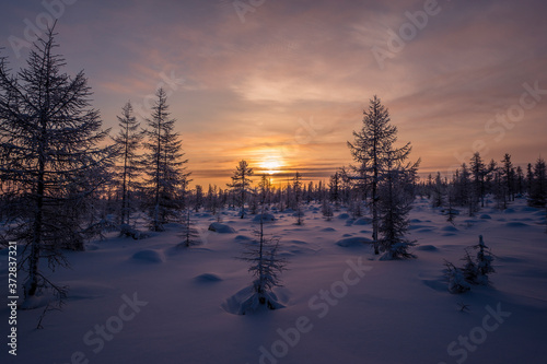 Winter lanscape with sunset  trees and cliffs over the snow. Winter snowscape with forest  trees and snowy cliffs. Blue sky. Winter landscape.