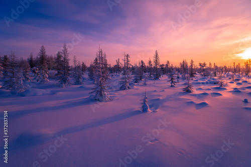 Winter lanscape with sunset, trees and cliffs over the snow. Winter snowscape with forest, trees and snowy cliffs. Blue sky. Winter landscape.