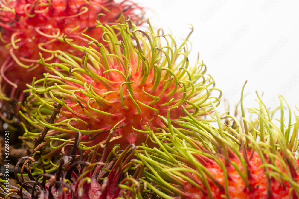 Rambutan fruit local fruit on a white background. Rambutan fruit local fruit on a white background.