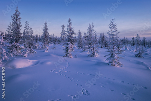 Winter snowscape with forest, trees and snowy cliffs. Blue sky. Winter landscape. Christmas background © Olonkho