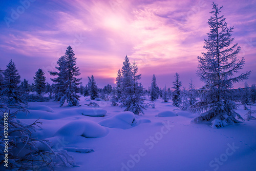 Winter snowscape with forest, trees and snowy cliffs. Blue sky. Winter landscape. Christmas background © Olonkho