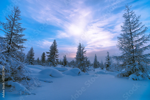 Winter lanscape with sunset, trees and cliffs over the snow. Winter snowscape with forest, trees and snowy cliffs. Blue sky. Winter landscape. © Olonkho
