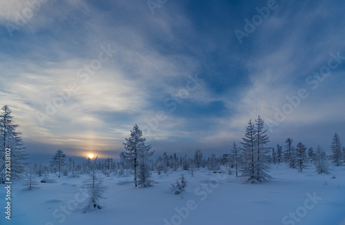 Winter lanscape with sunset, trees and cliffs over the snow. Winter snowscape with forest, trees and snowy cliffs. Blue sky. Winter landscape. © Olonkho