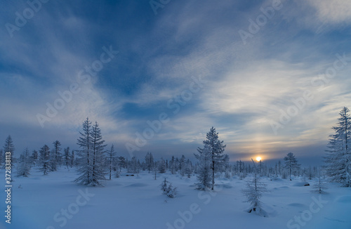 Winter lanscape with sunset, trees and cliffs over the snow. Winter snowscape with forest, trees and snowy cliffs. Blue sky. Winter landscape.