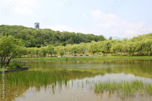 Lake in the spring park. 