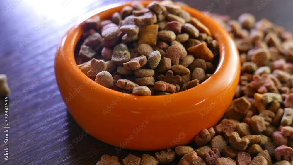 Orange bowl filled with dry pet food rotates on table Orange bowl filled with dry pet food rotates on table