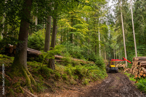 Holzvollernter im Wald bei der Arbeit, Bäume werden gefällt, entastet und für den Transport gestapelt. photo