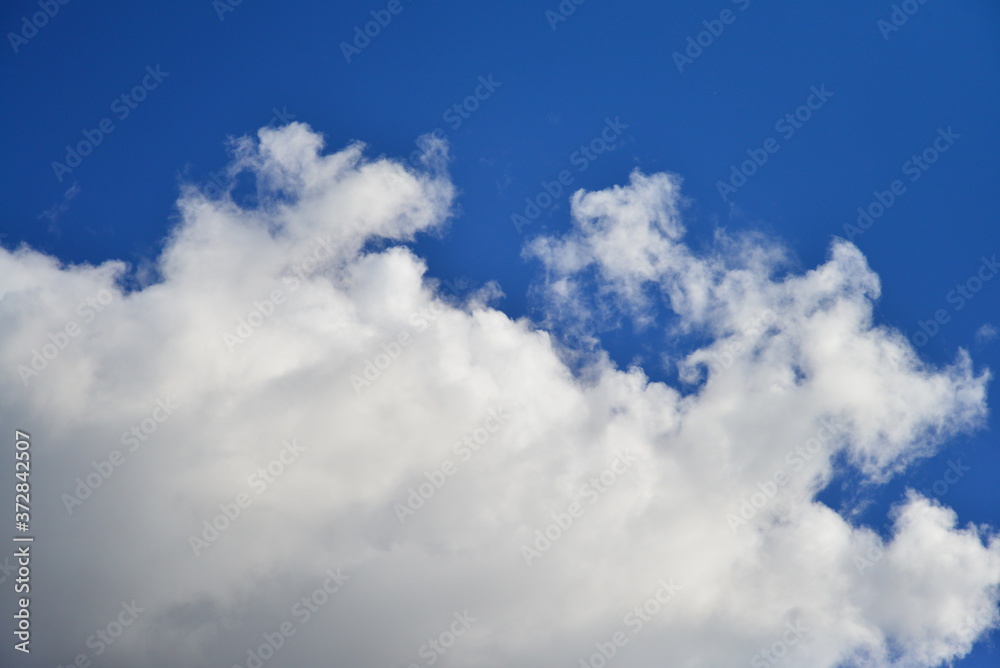 Fototapeta premium clouds and tree