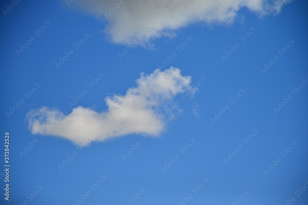 clouds and tree