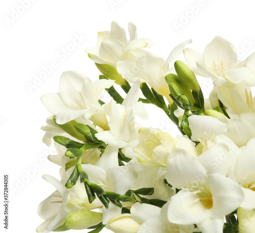 Beautiful freesia flowers on white background, closeup © New Africa