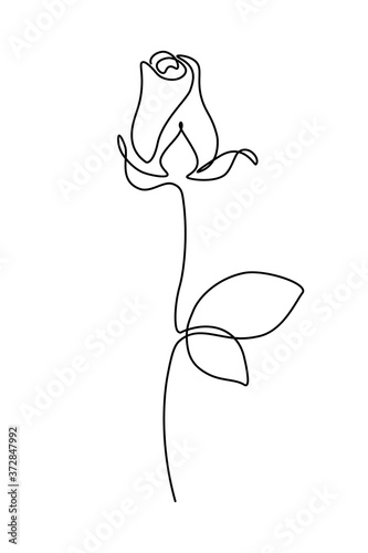 Rose flower bud in continuous line art drawing style. Minimalist black linear design isolated on white background. Vector illustration