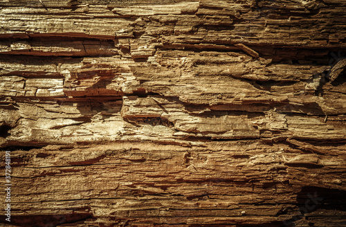 Texture of old rotten wood