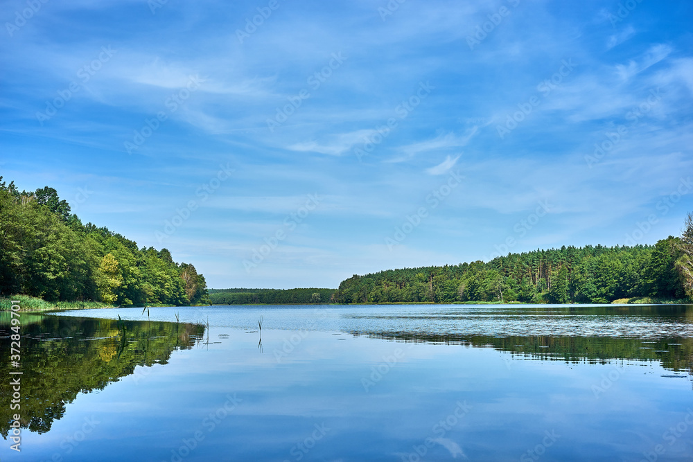 Quiet surface of the lake during sunny summer weather reflects clouds and dense green forest