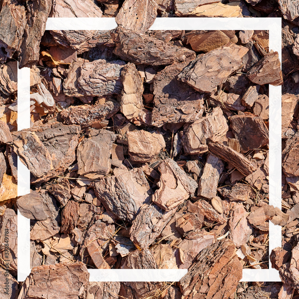Beautiful brown bark pattern with white frame, template for invite, poster or banner. Beautiful brown bark pattern with white frame, template for invite, poster or banner.