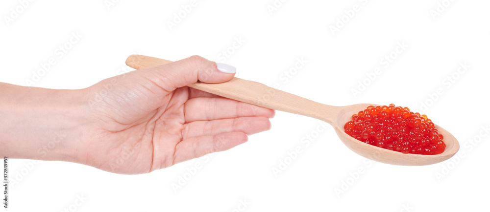 Hand with luxury red caviar on wooden spoon, expensive healthy seafood, isolated on white background. Hand with luxury red caviar on wooden spoon, expensive healthy seafood, isolated on white background.