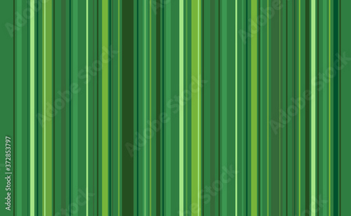 Strip background - green stripes background of decoration.