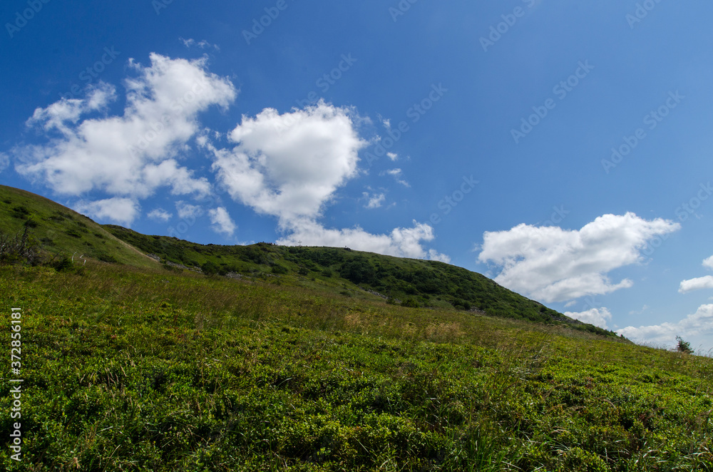 Tarnica - Bieszczady Tarnica - Bieszczady