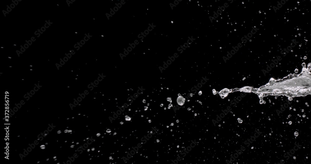 macro shot of splattering water droplets against a black background.