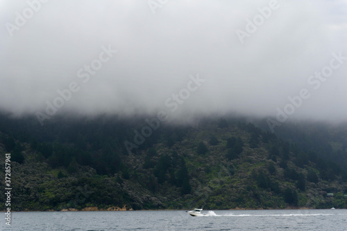A foggy day in the Marlborough Sounds  in the South Island of New Zealand