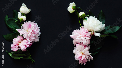 Beautiful composition in the form of a frame of pink peonies and leafage. Top view, flat lay, black background, minimal concept