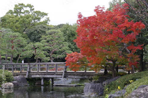 紅葉した秋の白鳥庭園　(名古屋)