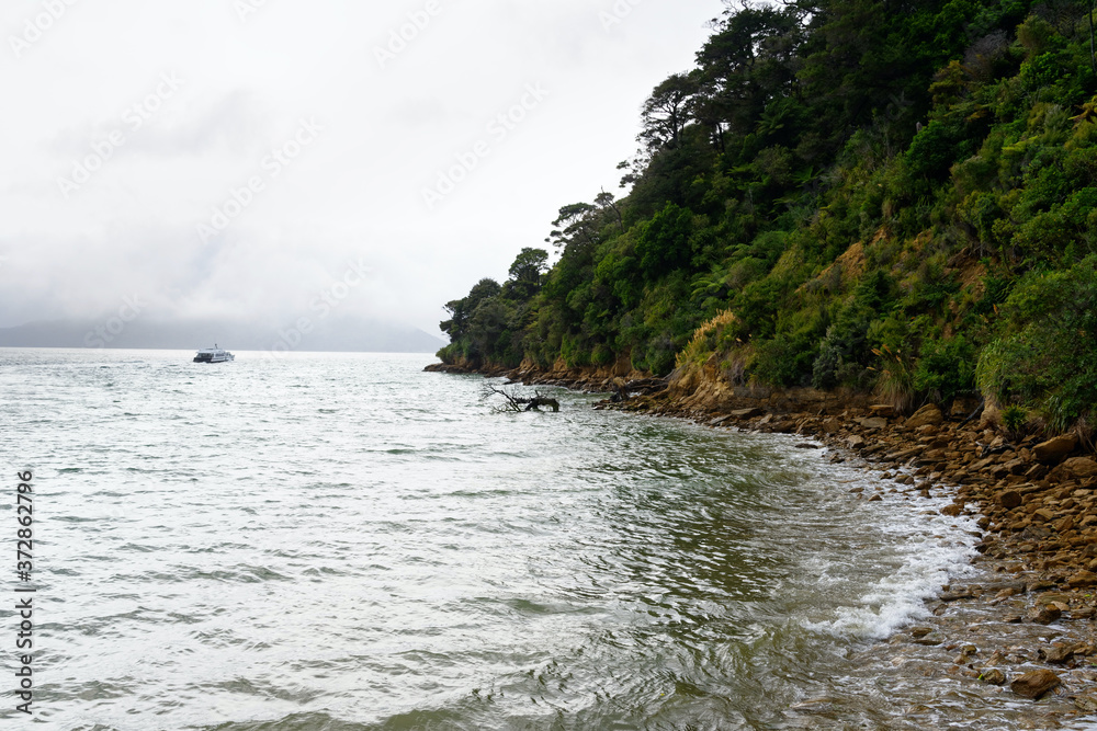 Ship Cove in the Marlbourgh Sounds, New Zealand