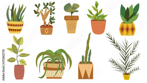 Vector Set of indoor plants in pots