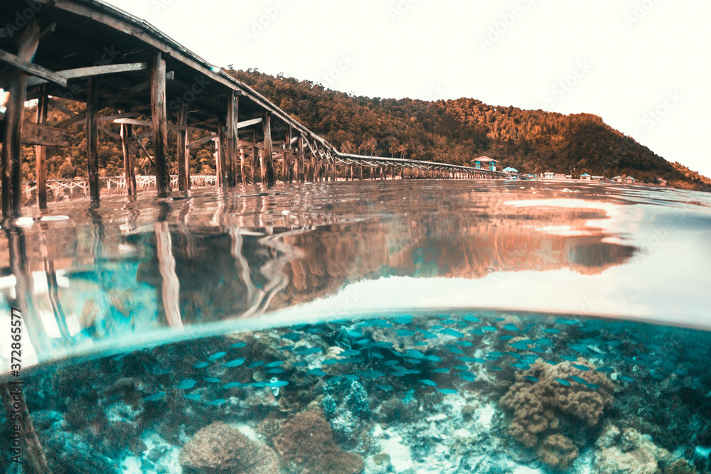 Split shot under a jetty, wooden jetty and coral reef below the surface, islands in the background, Raja Ampat