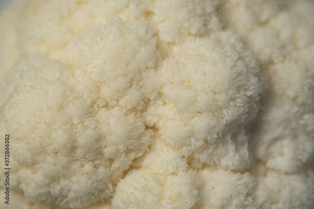 Closeup of cauliflower
Closeup of cauliflower