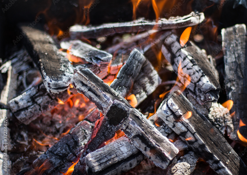 Burning wood with coals in the fireplace Burning wood with coals in the fireplace