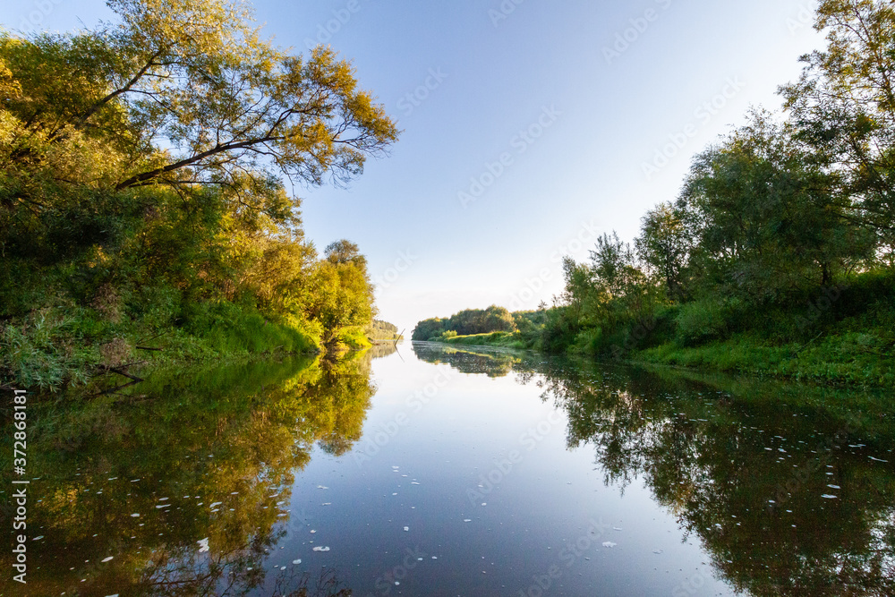 Siberian River Ob surrounded by Trees in Early morning in Russia in sunny weather during summer Siberian River Ob surrounded by Trees in Early morning in Russia in sunny weather during summer