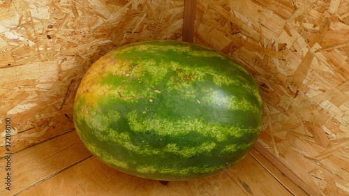a ripe watermelon is on a shelf in the corner