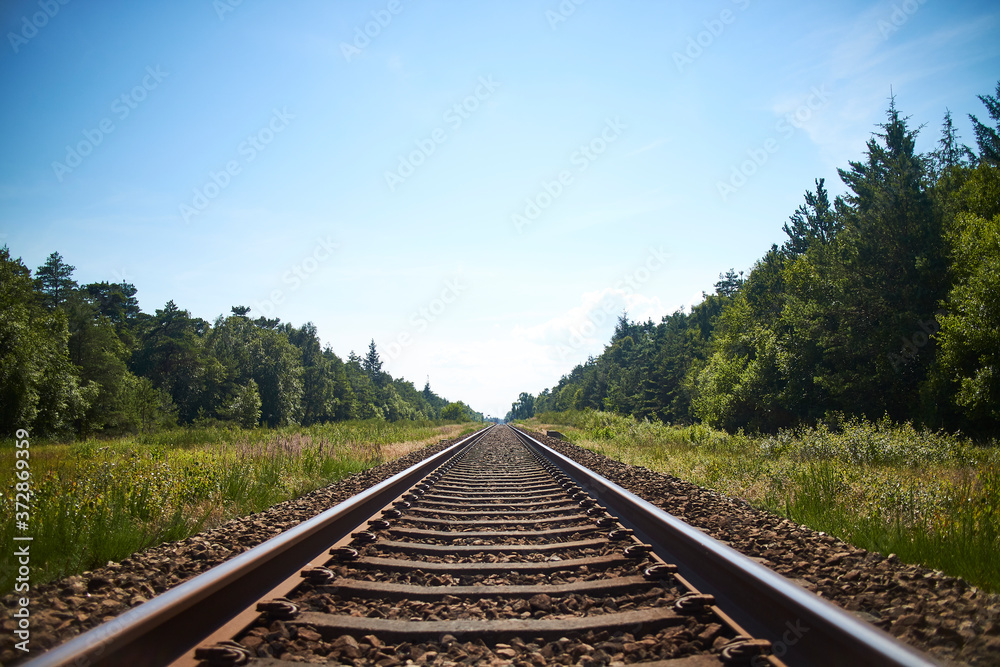 Obraz premium A rail-rode with nature around it