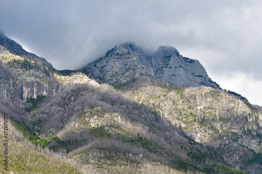 Mount Cimone im Raccolana-Tal in Italien Mount Cimone im Raccolana-Tal in Italien