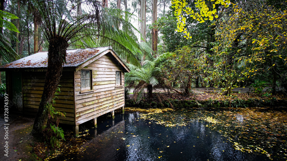 old wooden boatshed on pond old wooden boatshed on pond