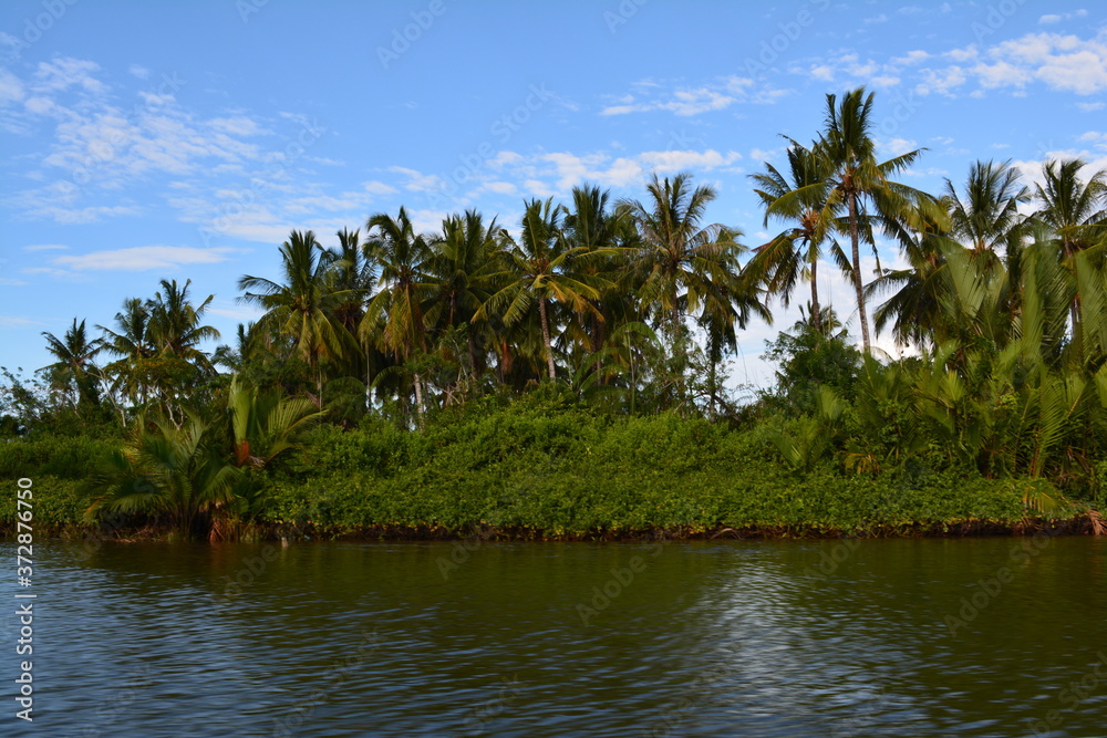 Obraz premium River cruise searching for Proboscis monkey