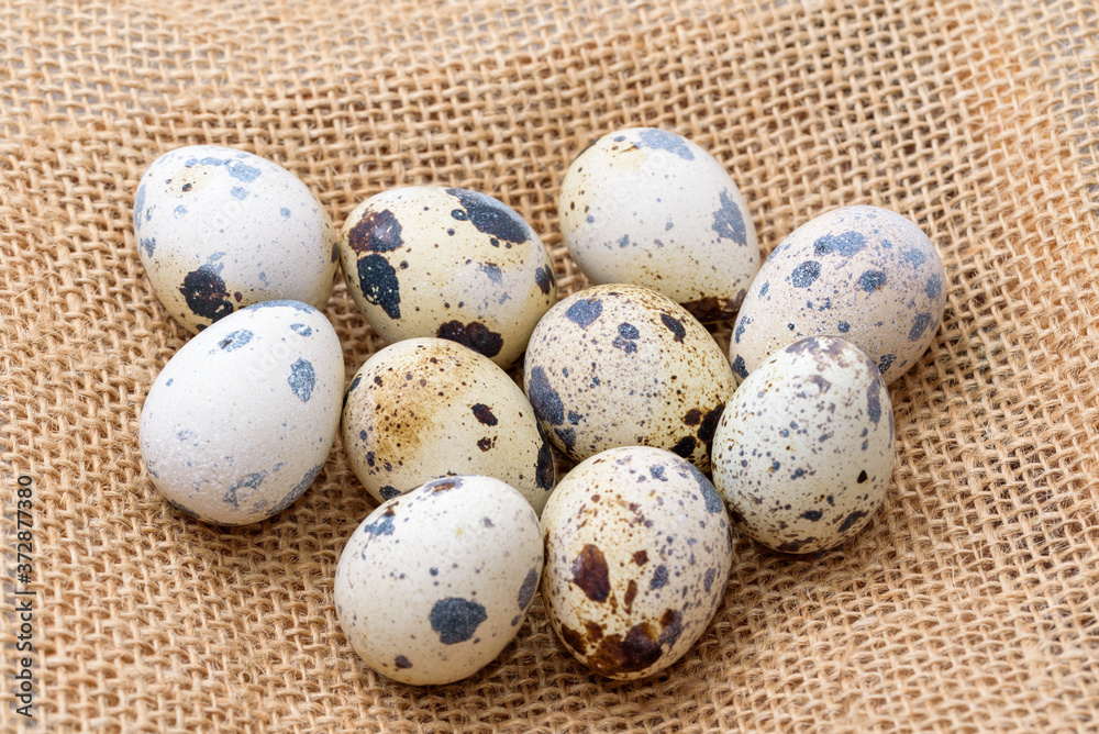 Obraz premium Quail eggs on top of a hemp fabric