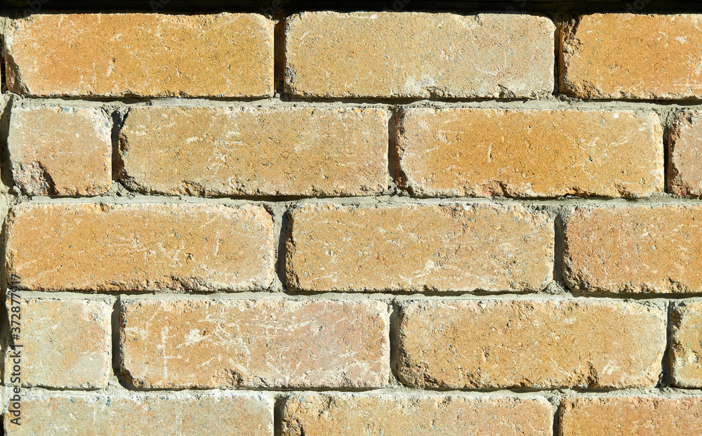 Fototapeta premium Ziegelsteinmauer. Sonnenseite.